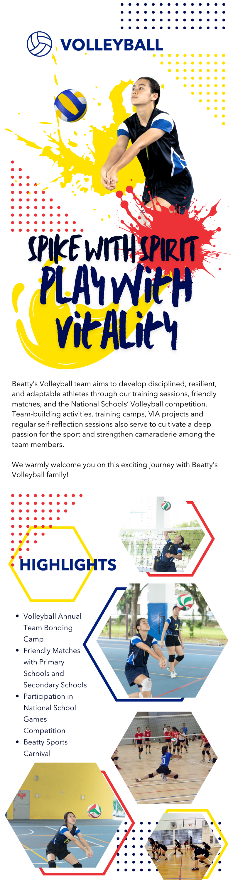 Volleyball